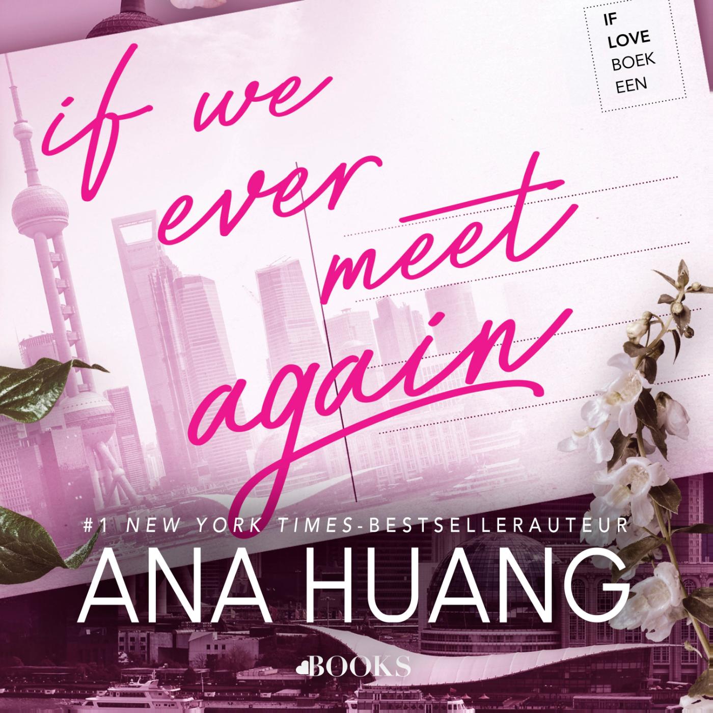 Omslag van If we ever meet again