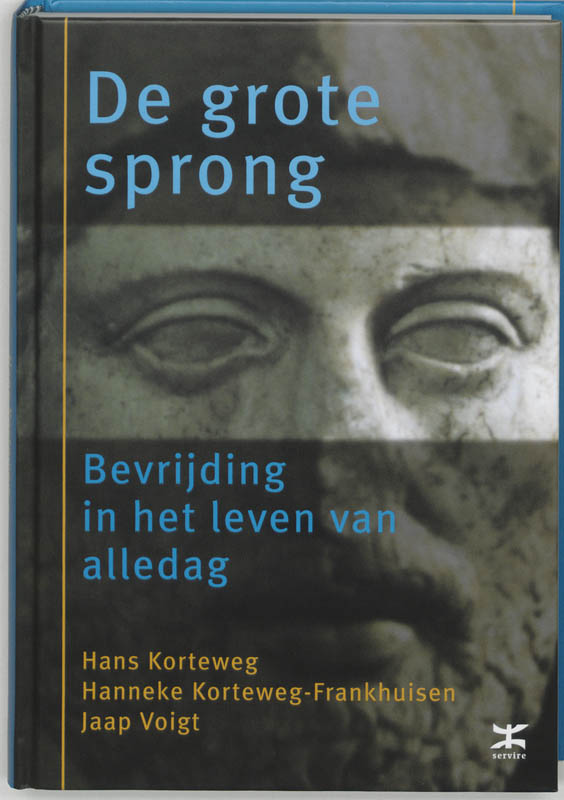 Omslag van De grote sprong