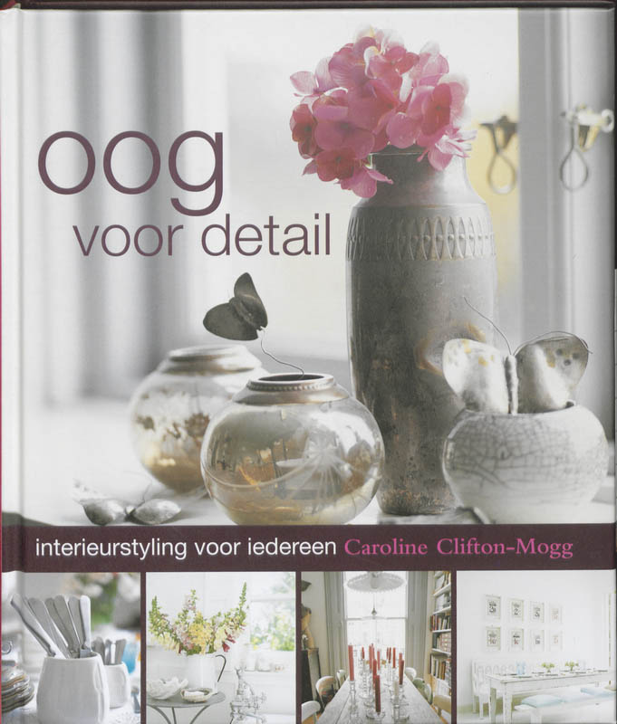 Omslag van Oog voor detail