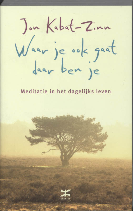 Omslag van Waar je ook gaat, daar ben je