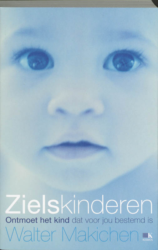 Omslag van Zielskinderen