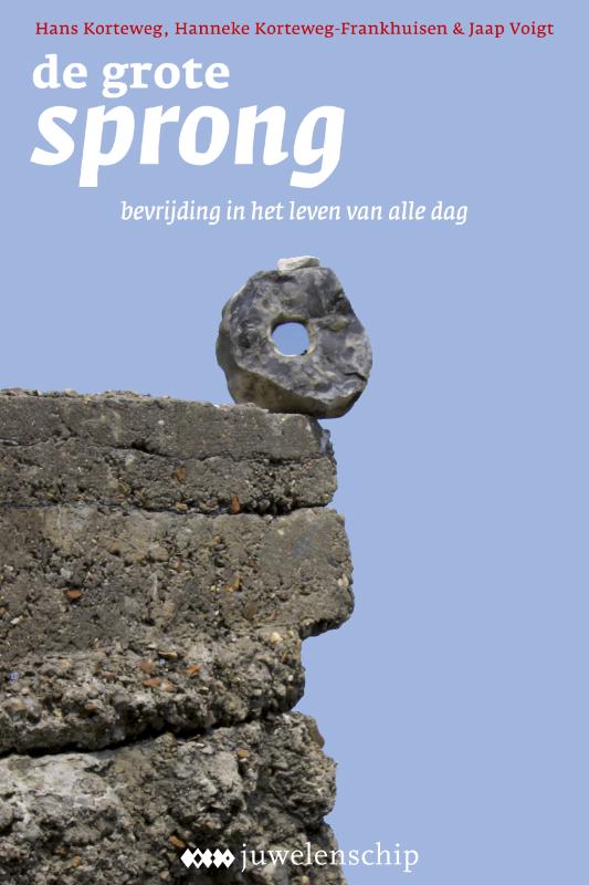 Omslag van De grote sprong