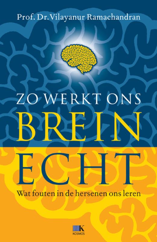 Omslag van Zo werkt ons brein echt