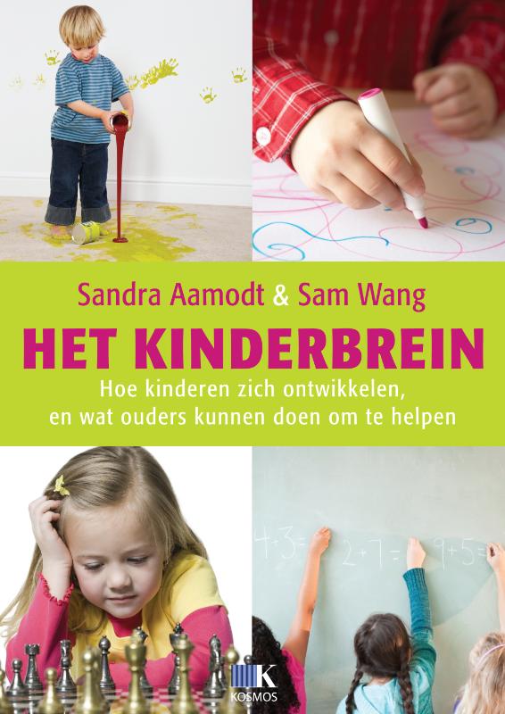 Omslag van Het kinderbrein