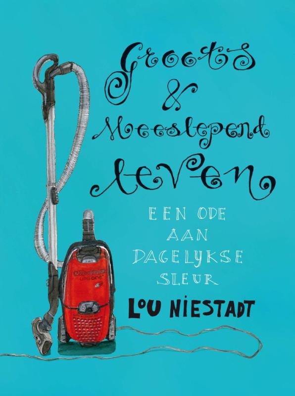 Omslag van Groots en meeslepend leven