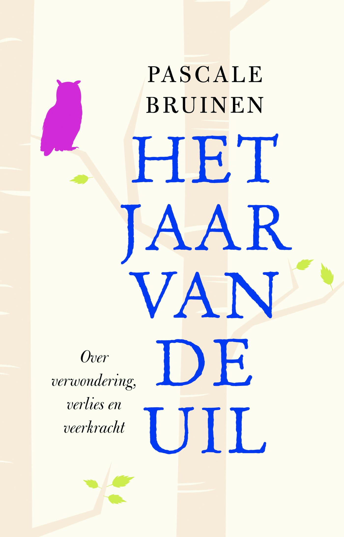 Omslag van Het jaar van de uil