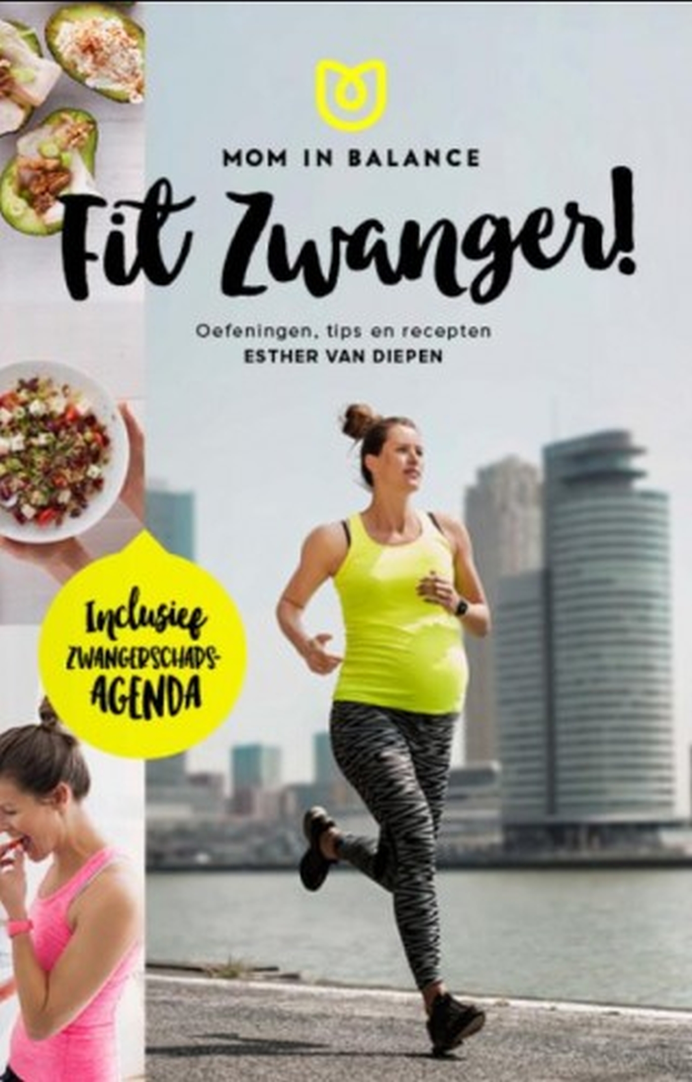 Omslag van Fit zwanger