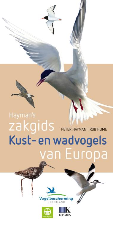 Omslag van Hayman's zakgids kust- en wadvogels