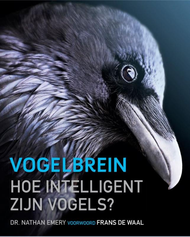 Omslag van Vogelbrein