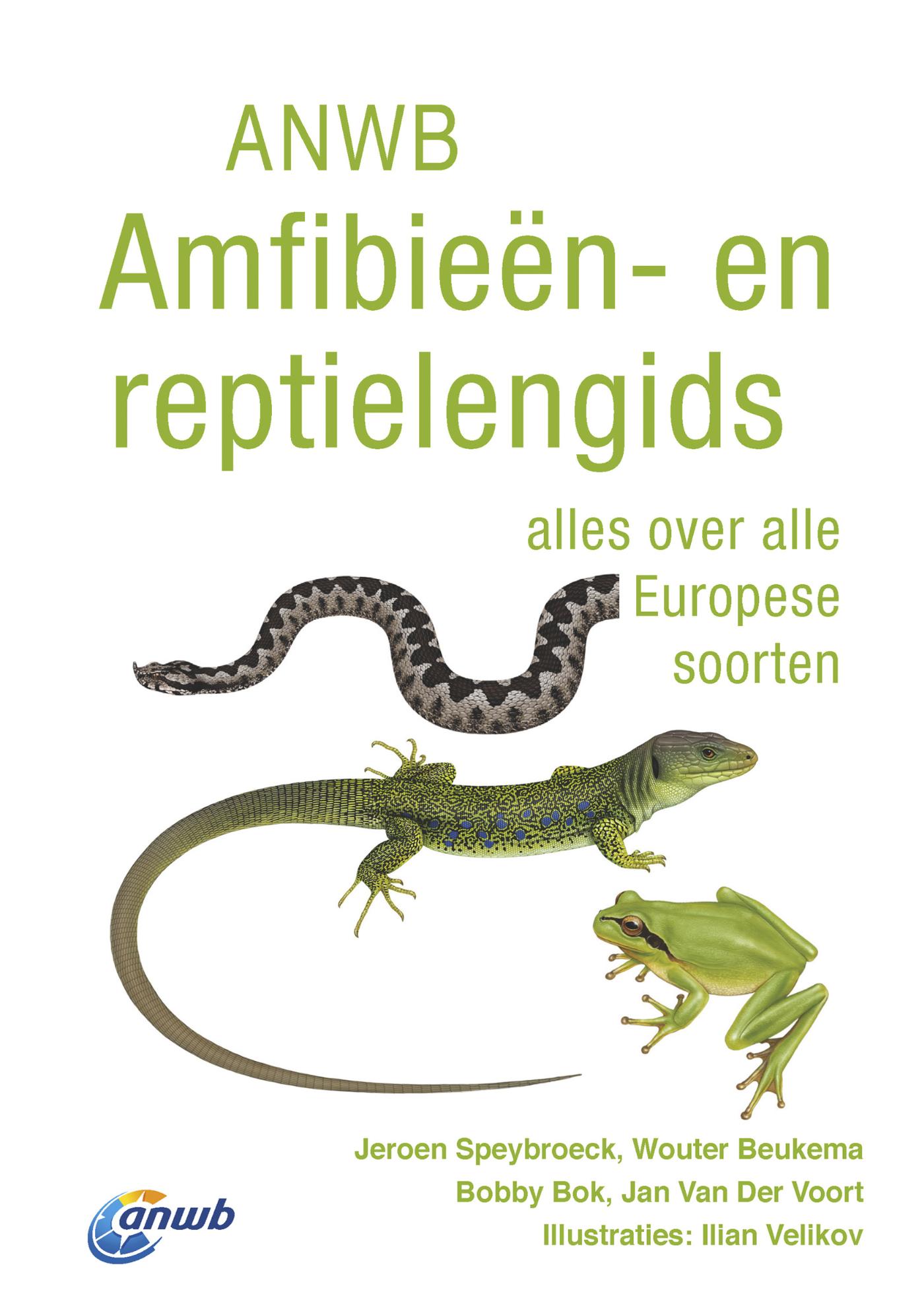 Omslag van ANWB Amfibieën- en reptielengids