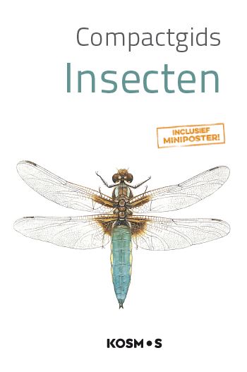 Omslag van Insecten