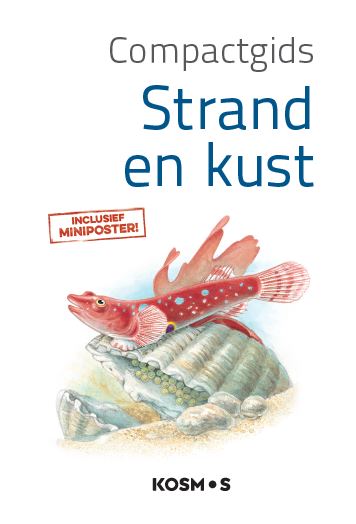 Omslag van Strand en kust