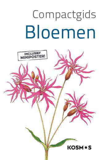 Omslag van Bloemen
