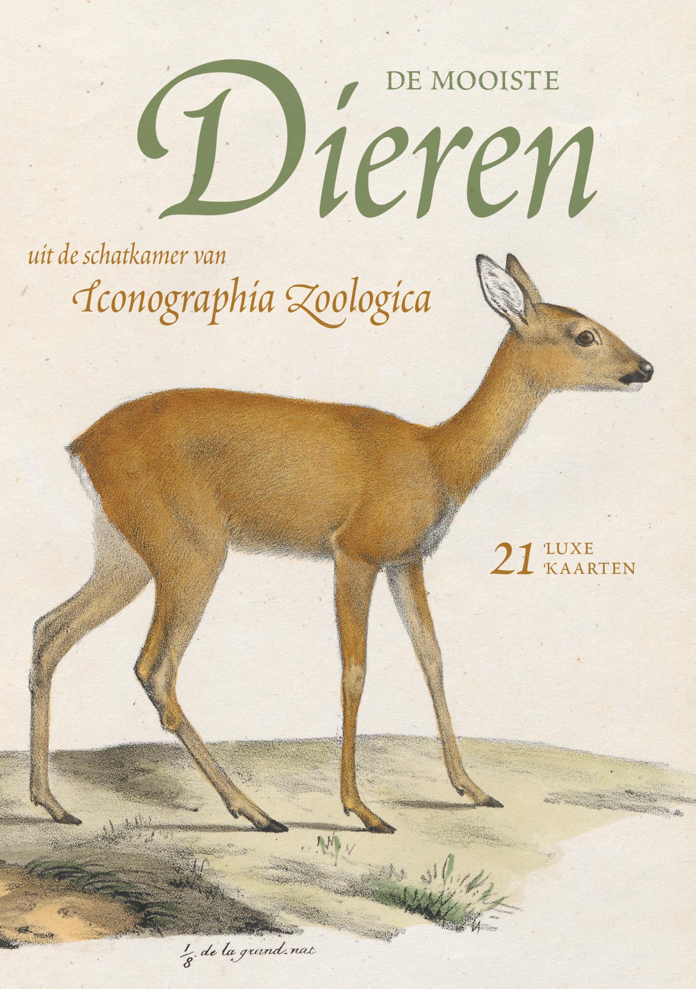 Omslag van De mooiste dieren uit de schatkamer van Iconographia Zoologica