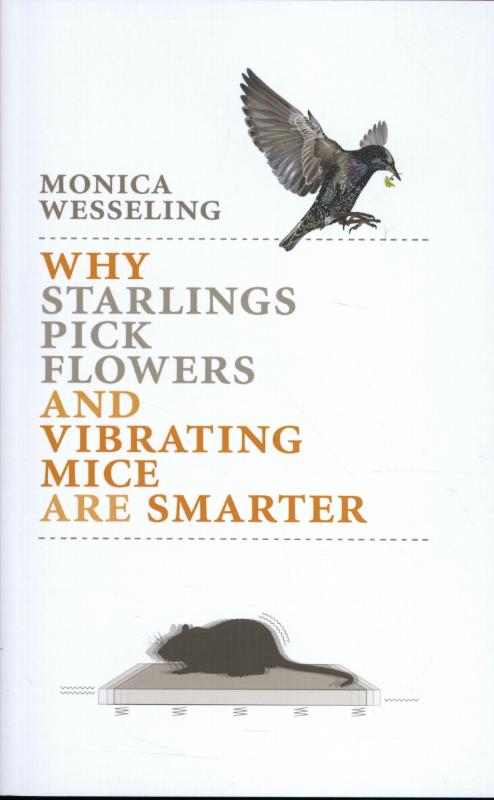Omslag van Why starlings pick flowers and vibrating mice are smarter