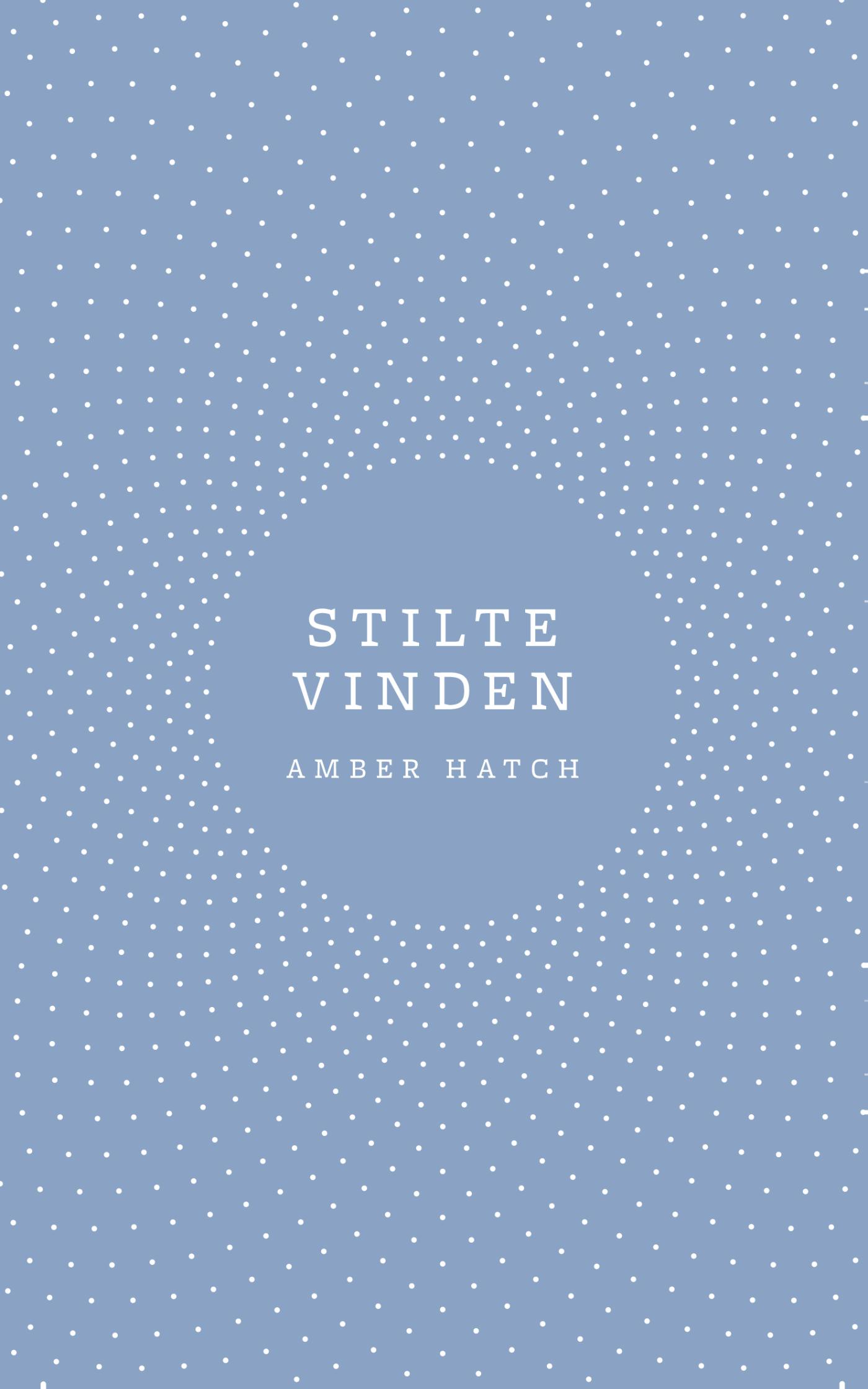 Omslag van Stilte vinden