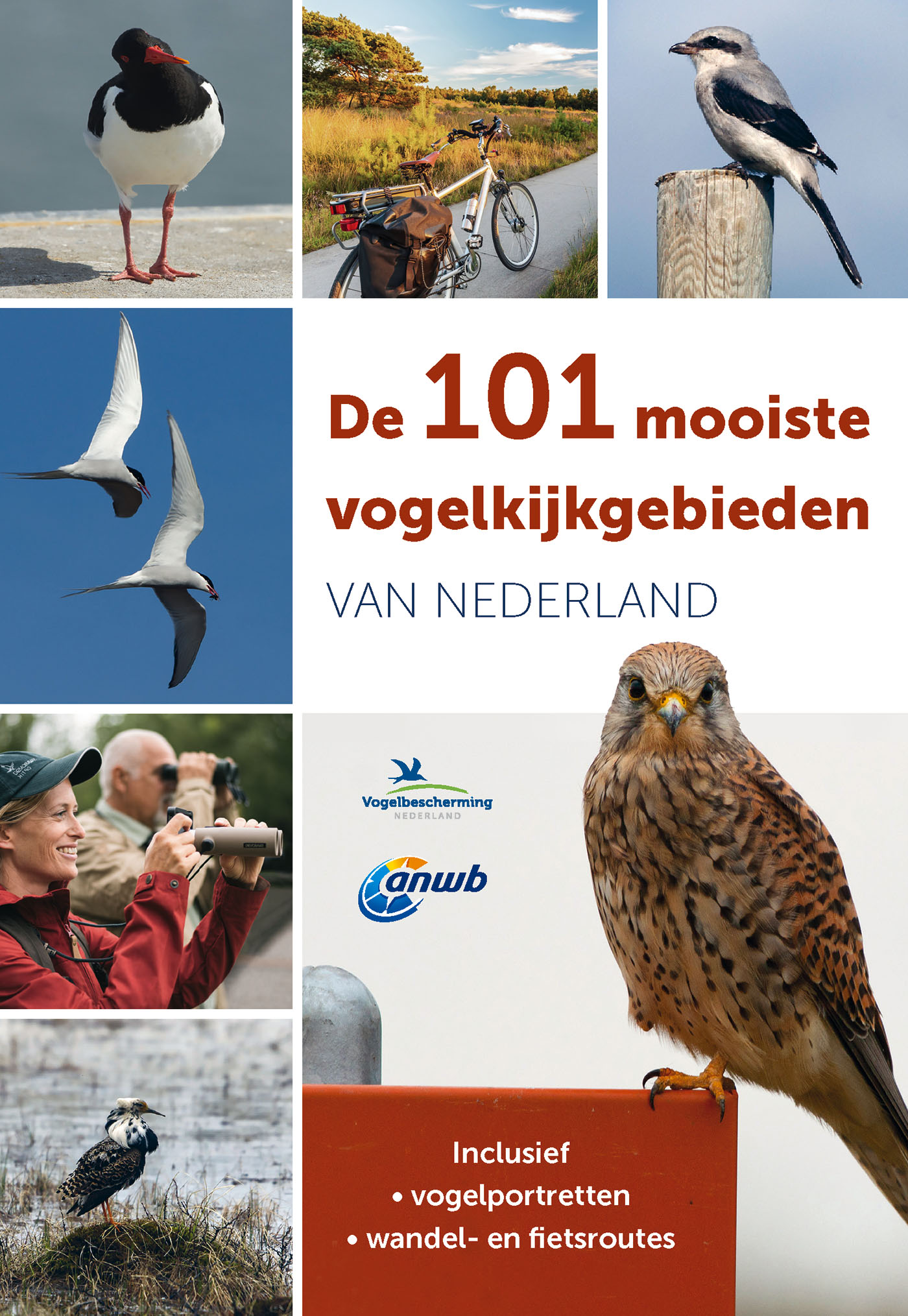 Omslag van De 101 mooiste vogelkijkgebieden van Nederland