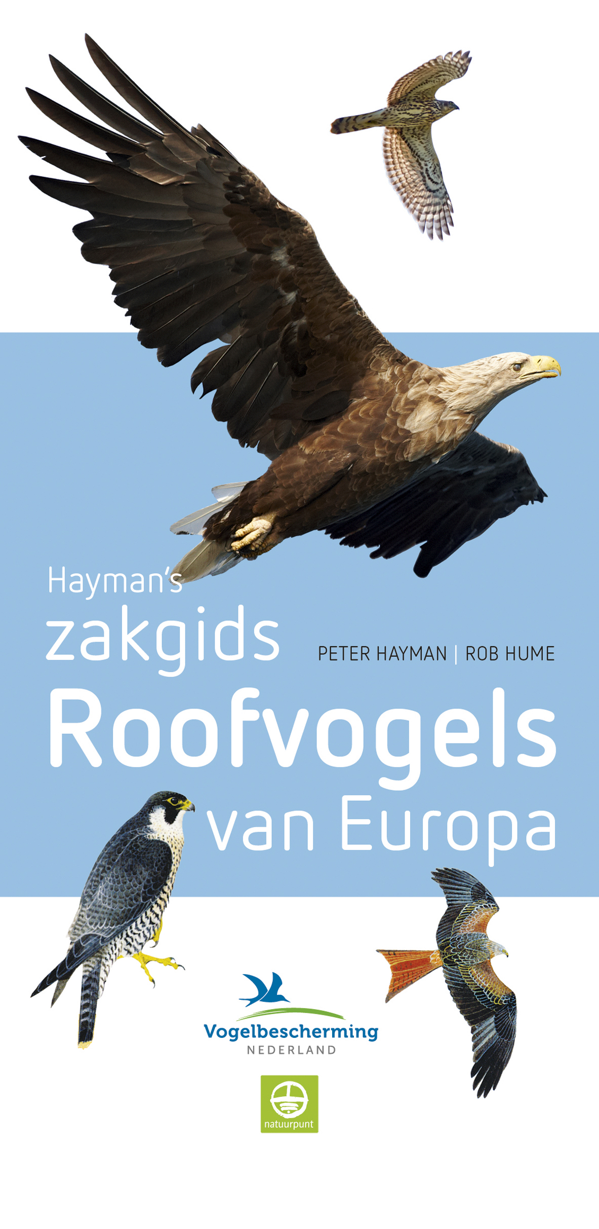 Omslag van Haymans zakgids Roofvogels van Europa