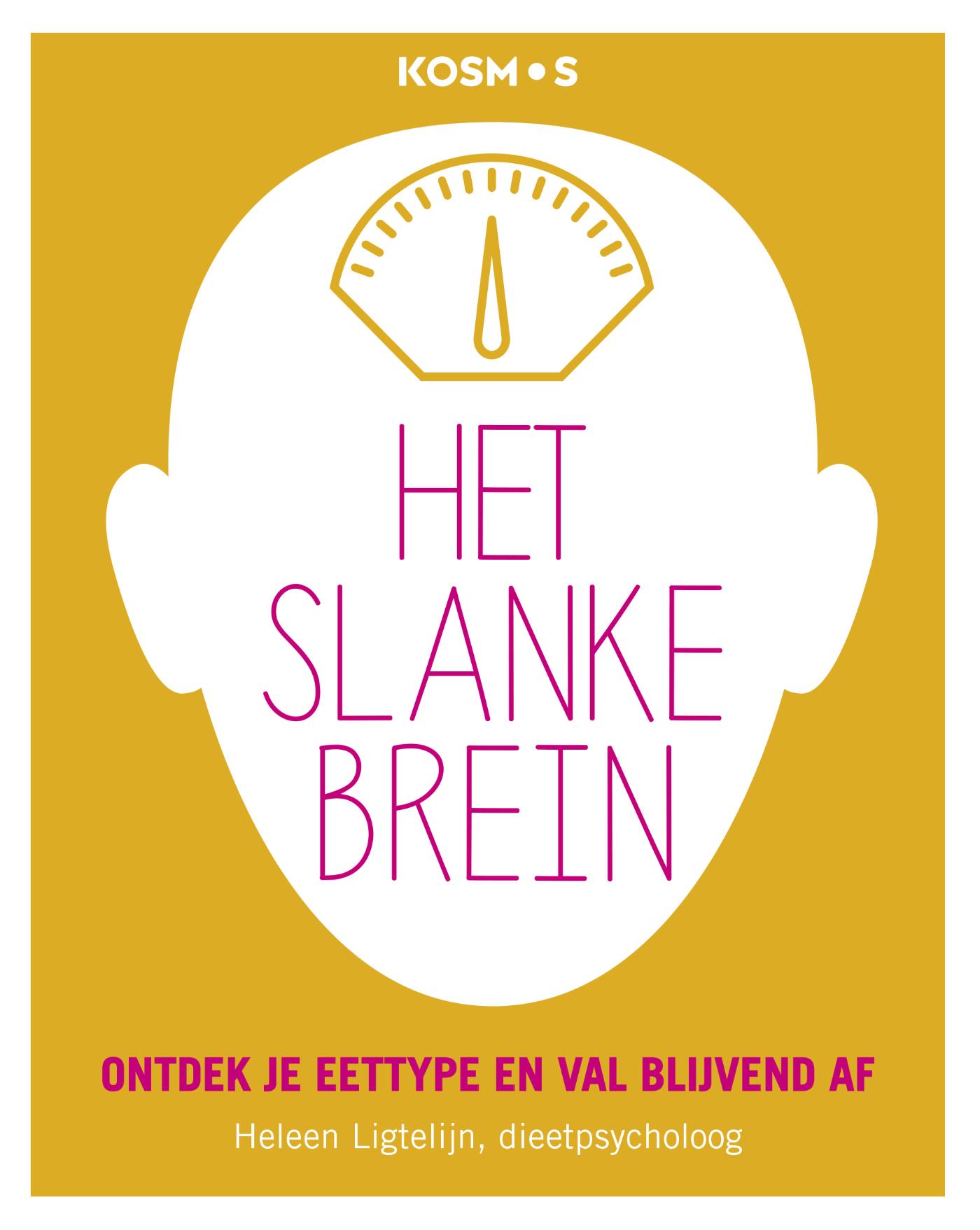 Omslag van Het slanke brein