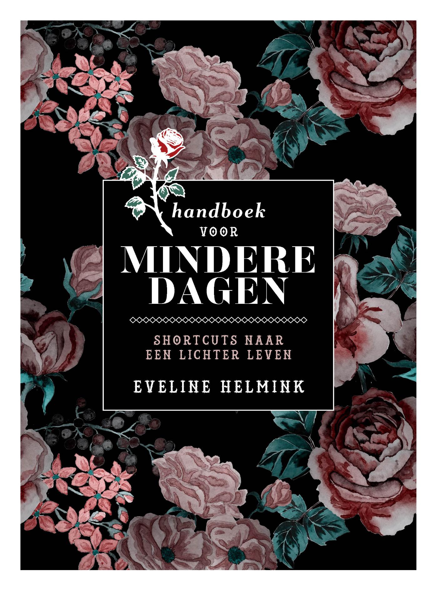 Omslag van Handboek voor mindere dagen