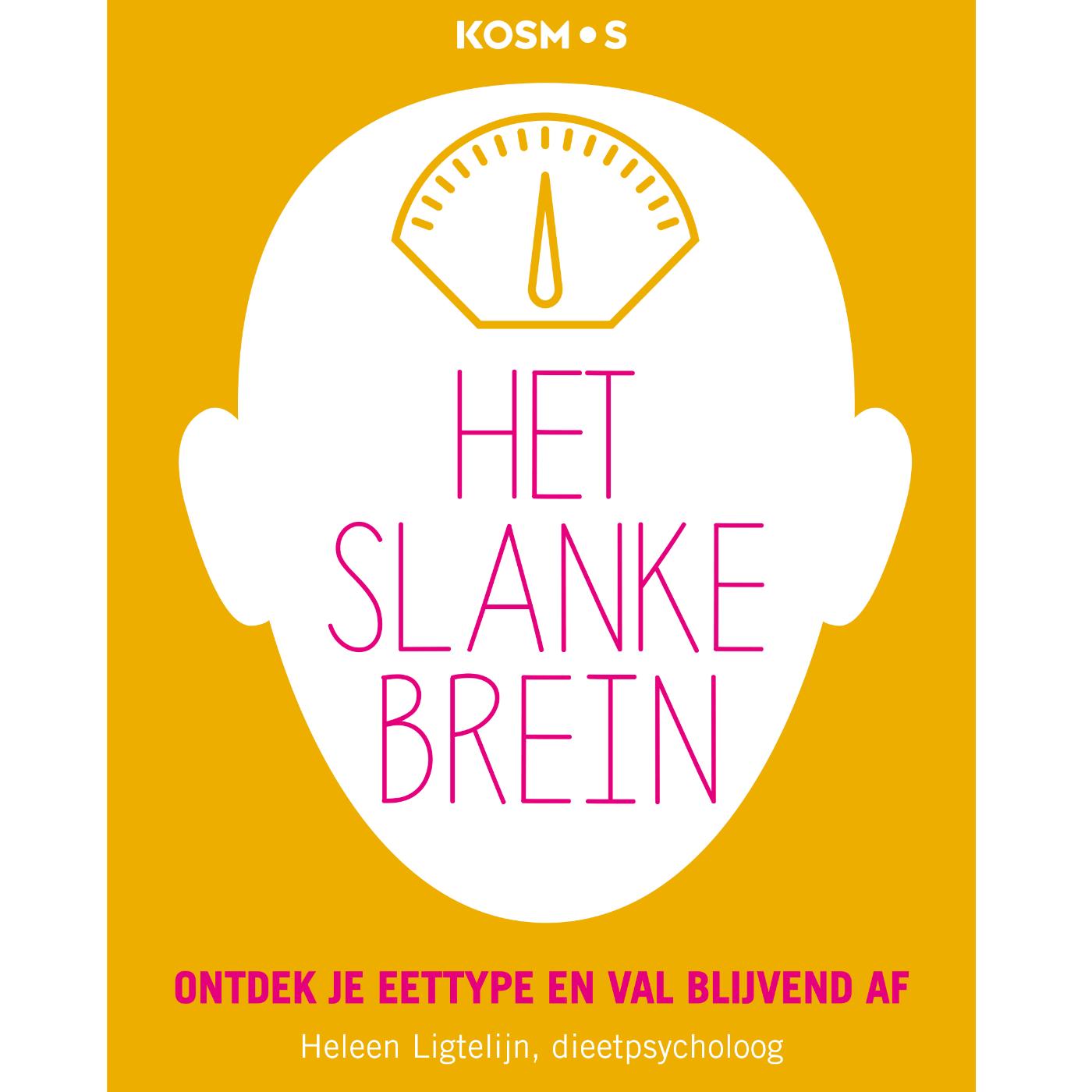 Omslag van Het slanke brein
