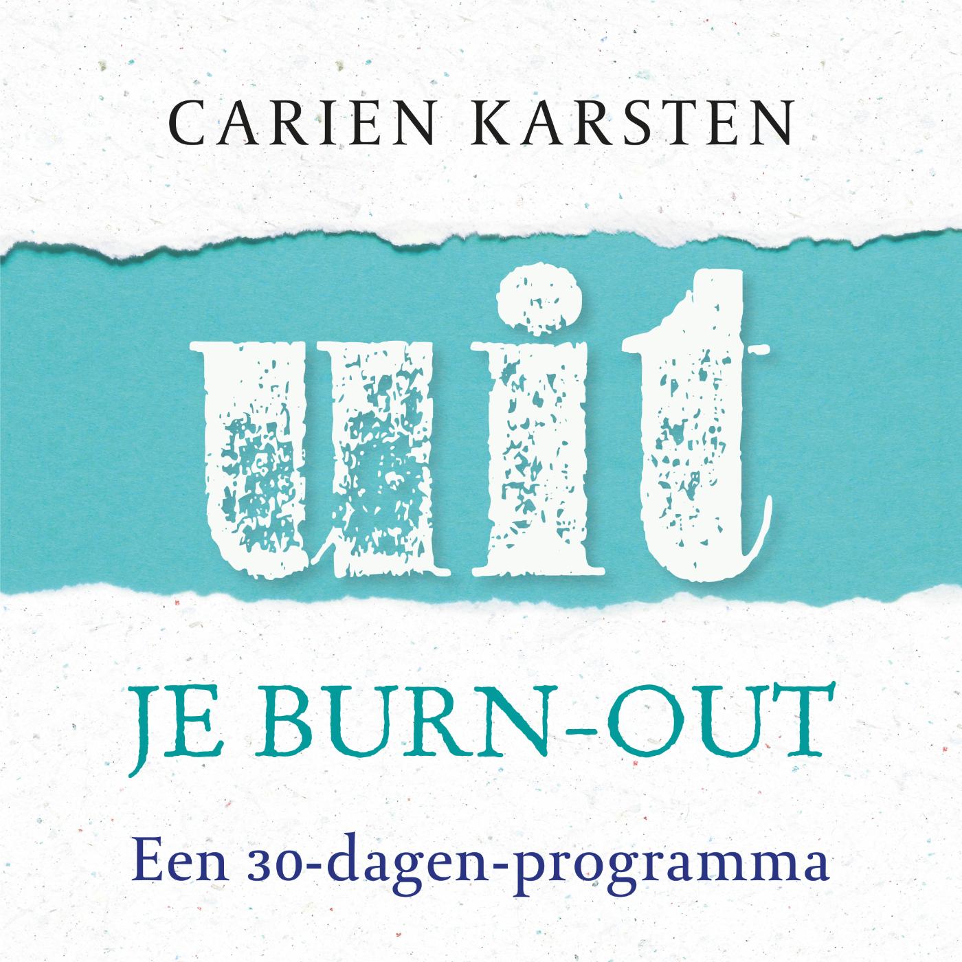 Omslag van Uit je burnout