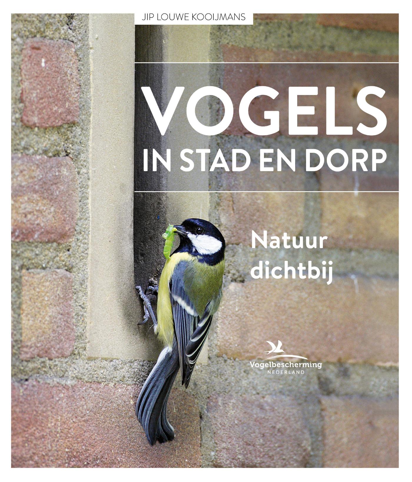 Omslag van Vogels in stad en dorp
