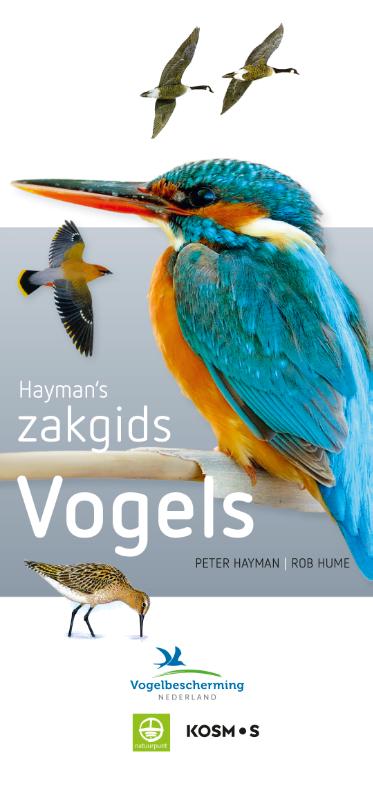 Omslag van Hayman's Zakgids Vogels