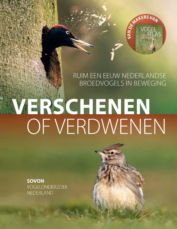 Omslag van Verschenen of verdwenen