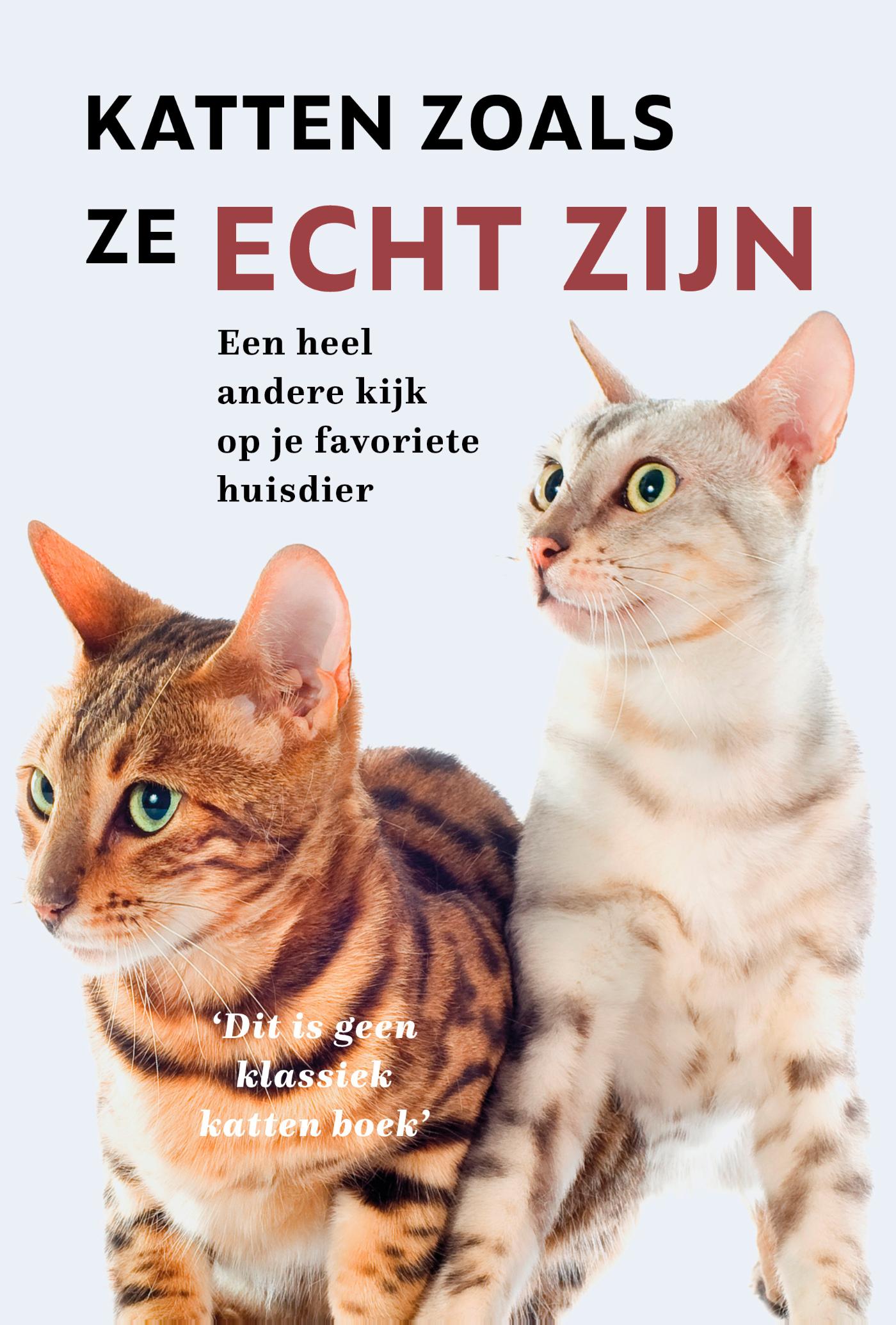Omslag van Katten zoals ze echt zijn