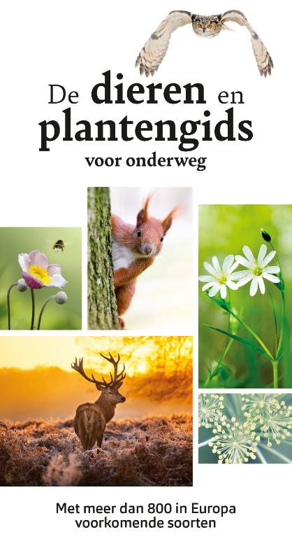 Omslag van De dieren- en plantengids voor onderweg