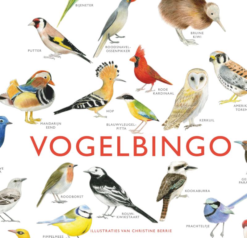 Omslag van Vogelbingo