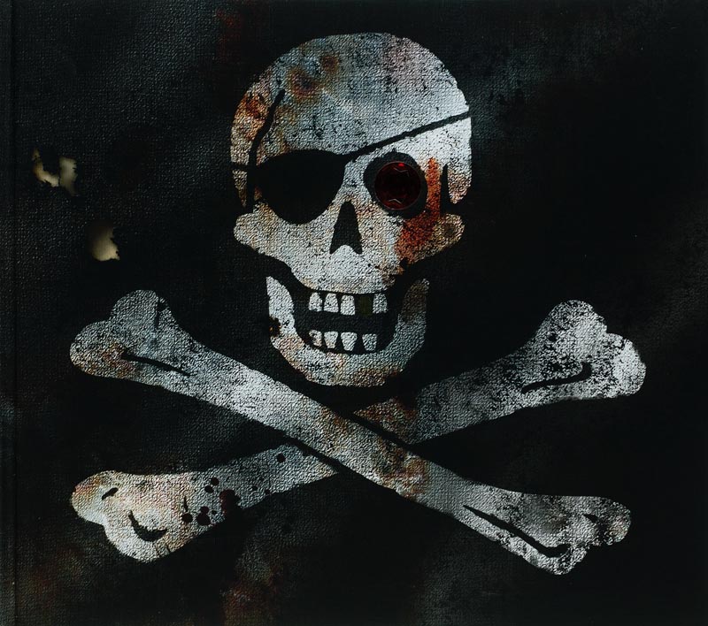 Omslag van Piraten