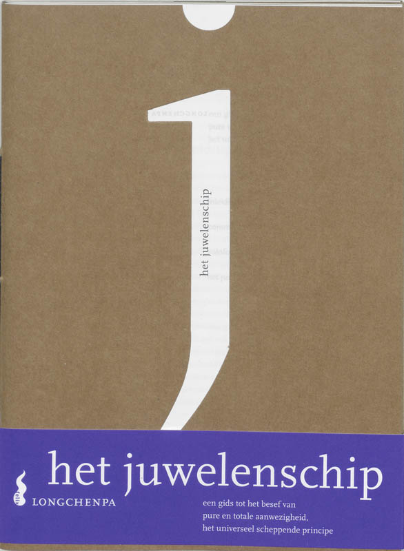 Omslag van Het juwelenschip