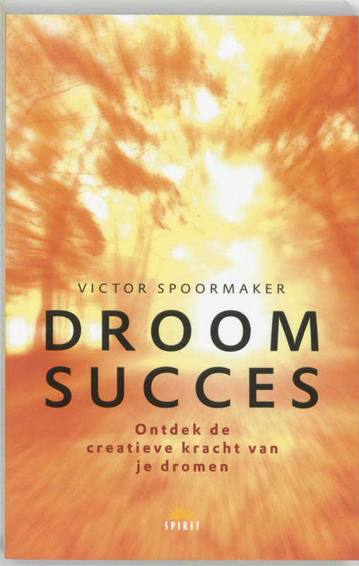 Omslag van Droomsucces