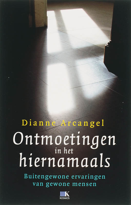 Omslag van Ontmoetingen in het hiernamaals