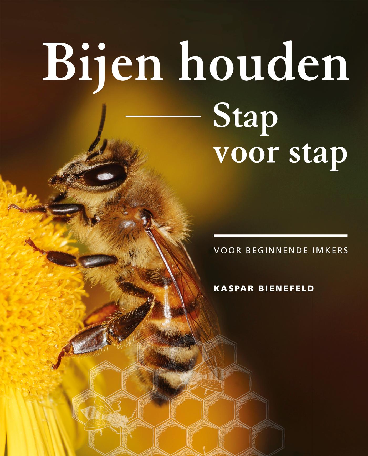 Omslag van Bijen houden stap voor stap