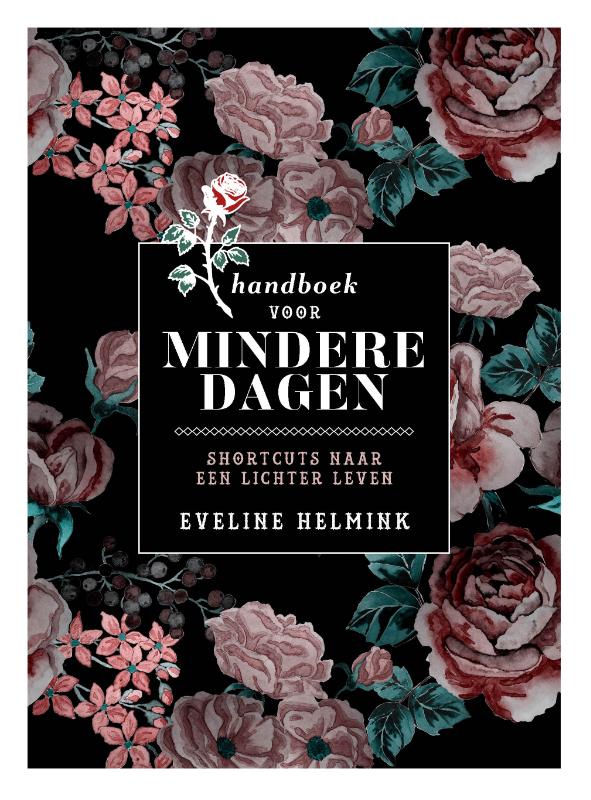 Omslag van Handboek voor mindere dagen