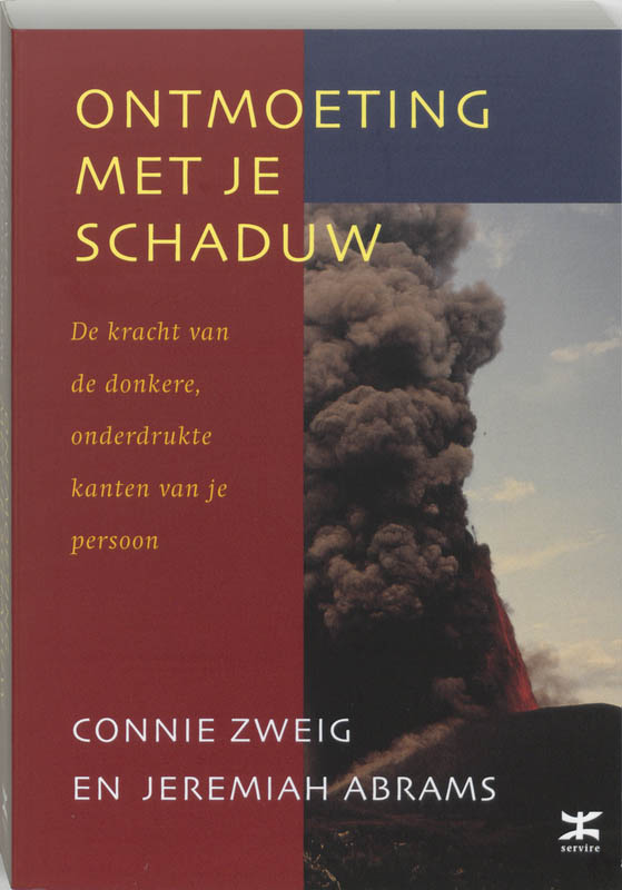 Omslag van Ontmoeting met je schaduw