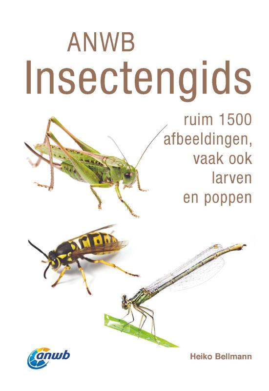 Omslag van ANWB Insectengids