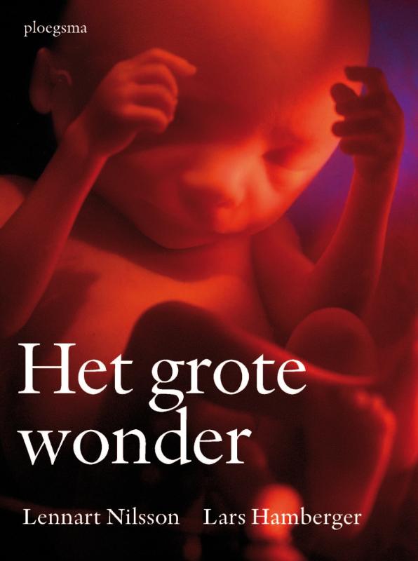 Omslag van Het grote wonder