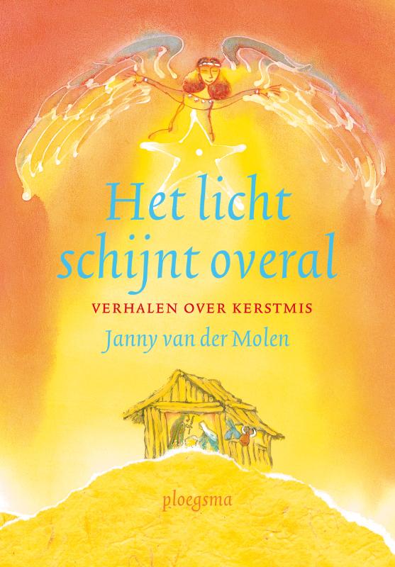 Omslag van Het licht schijnt overal