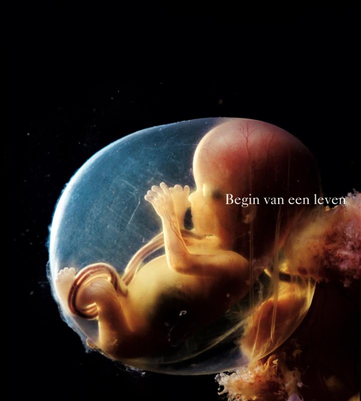 Omslag van Begin van een leven