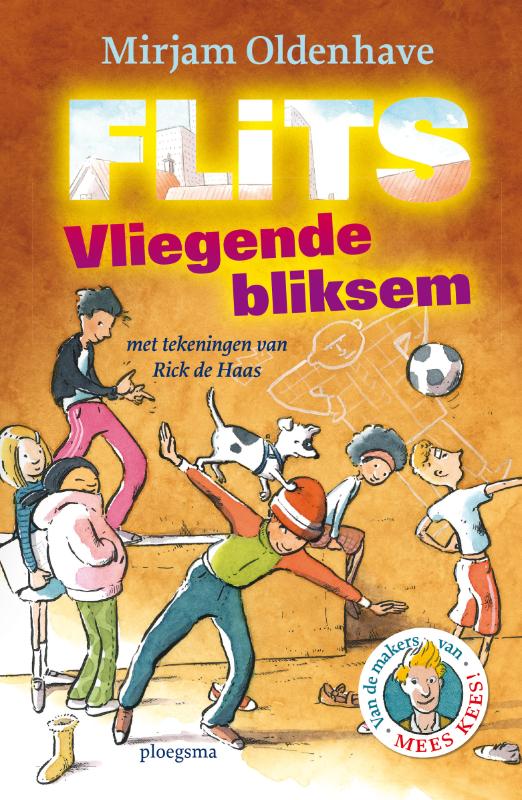Omslag van Flits!