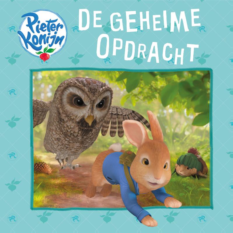 Omslag van De geheime opdracht
