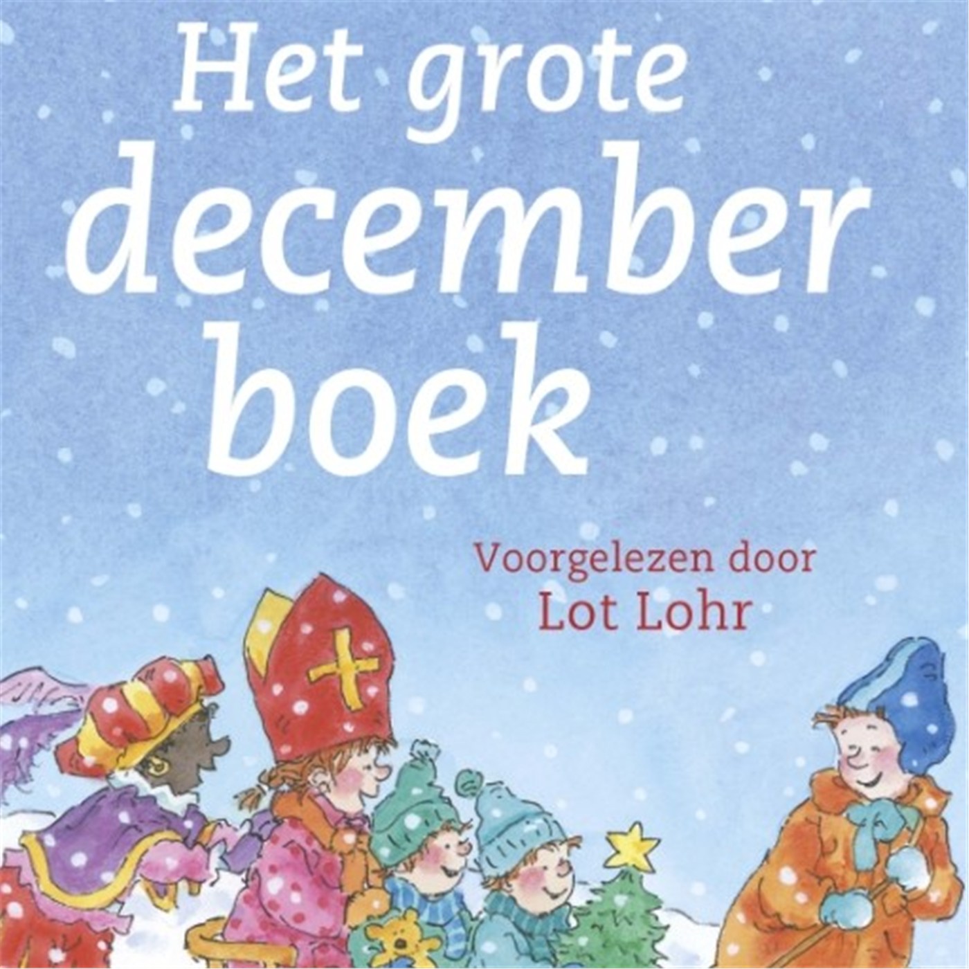 Omslag van Het grote decemberboek