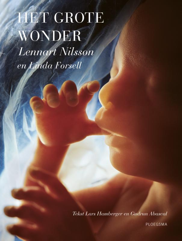 Omslag van Het grote wonder