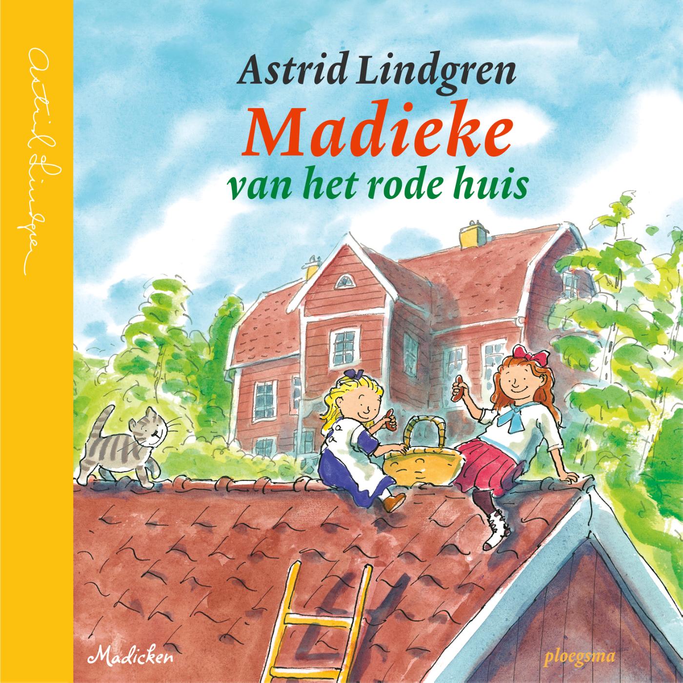 Omslag van Madieke van het rode huis