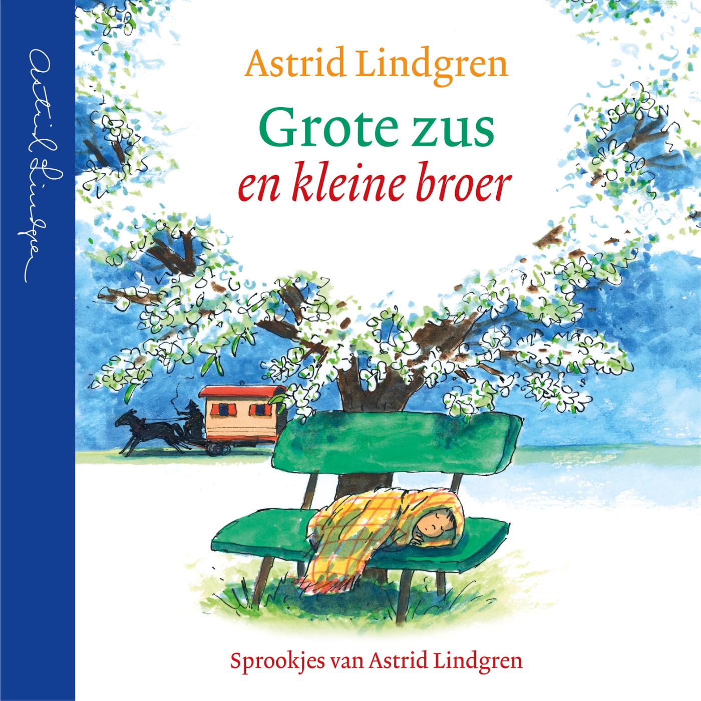 Omslag van Grote zus en kleine broer