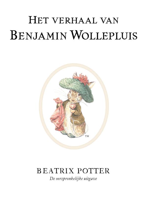 Omslag van Het verhaal van Benjamin Wollepluis